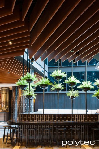 Polytec - Ceiling panels in European Walnut Matt.